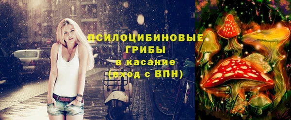 не бодяженный Киренск