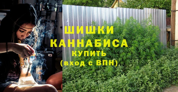 прущие грибы Кинешма