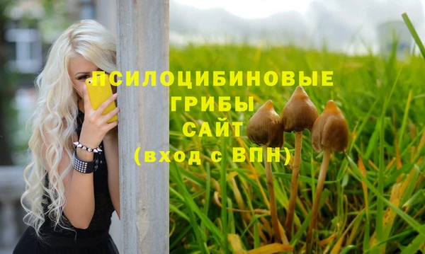 не бодяженный Киренск