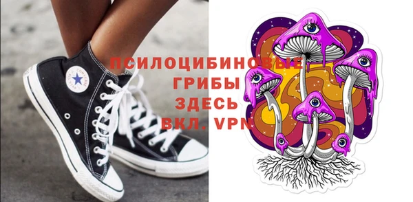 прущие грибы Кинешма