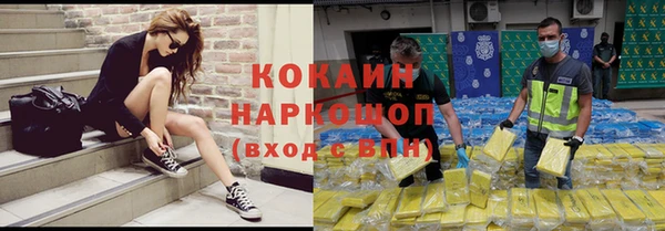 прущие грибы Кинешма