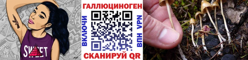 Галлюциногенные грибы мицелий  Купить где  Дагестанские Огни 