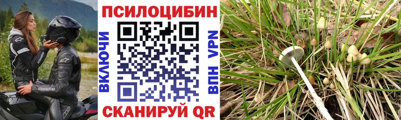 Галлюциногенные грибы ЛСД Дагестанские Огни